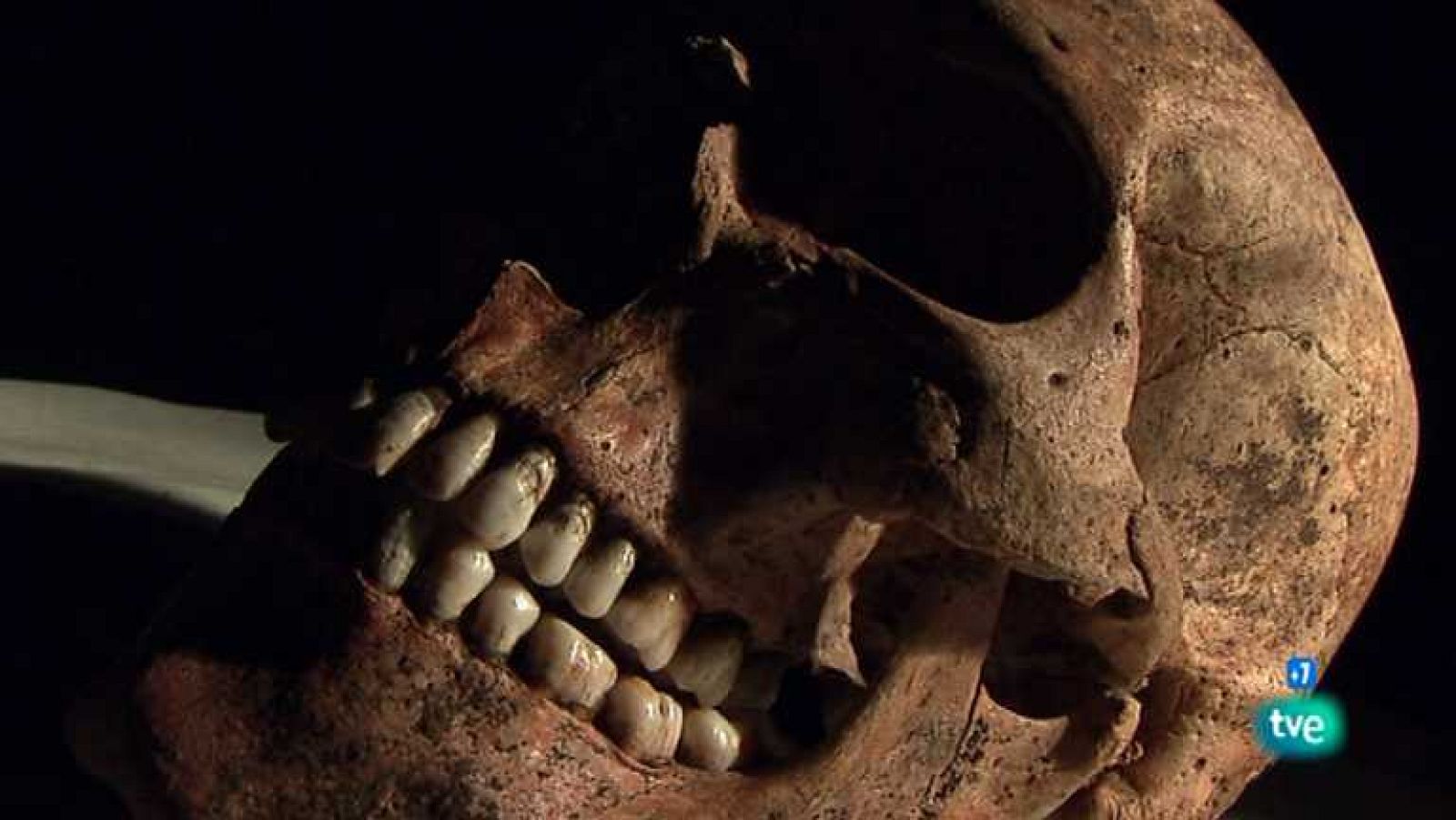 Docufilia - El misterio de los romanos decapitados - Ver ahora