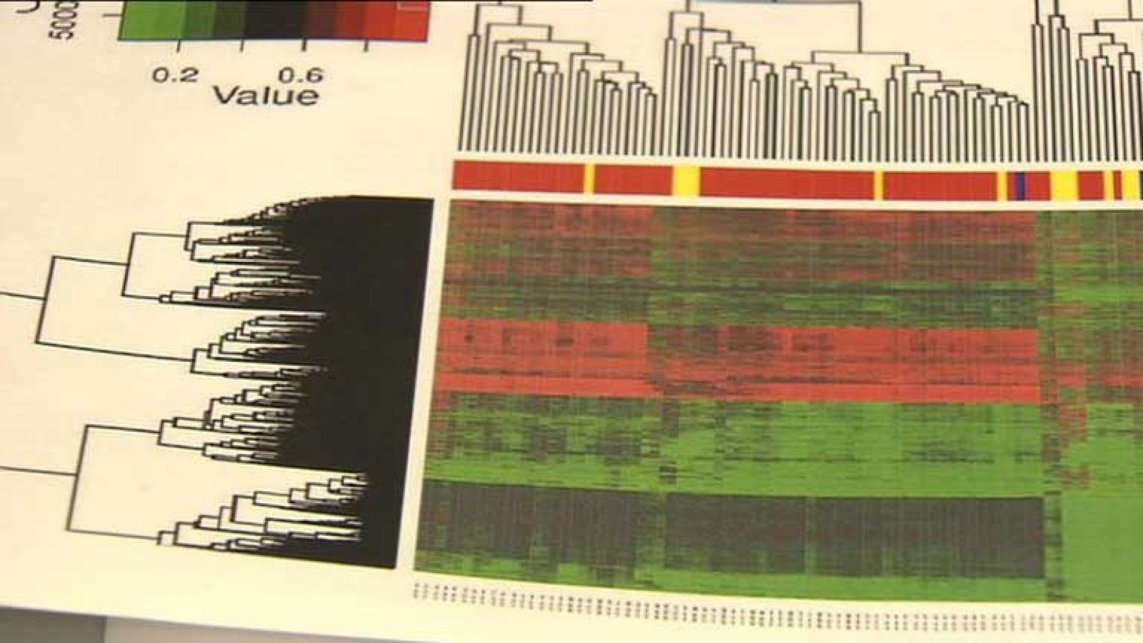 ¿Cómo envejece el ADN?