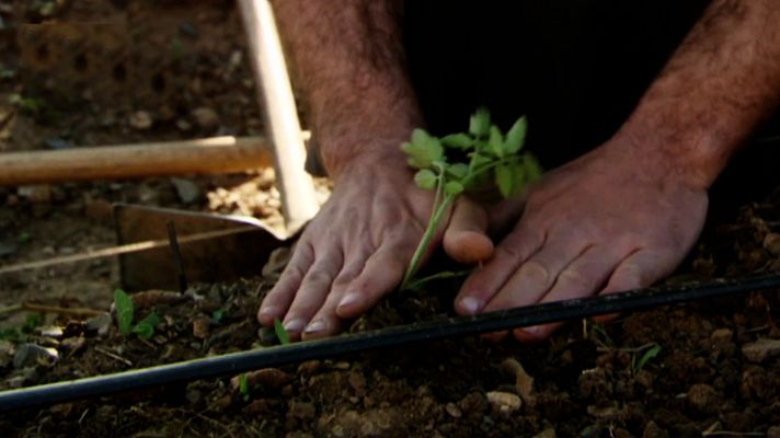 Crónicas - El siglo XXI según Poblet - Avance