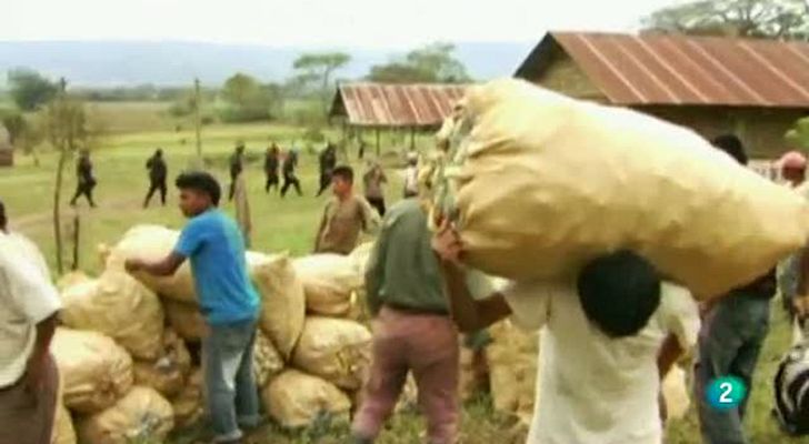 La 2 Noticias - Los biocombustibles, enemigos de los indígenas de Guatemala