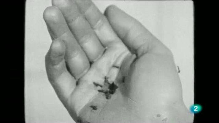 Continuarà... - Continuarà - Agenda Setmanal -  13 al 19 de juny