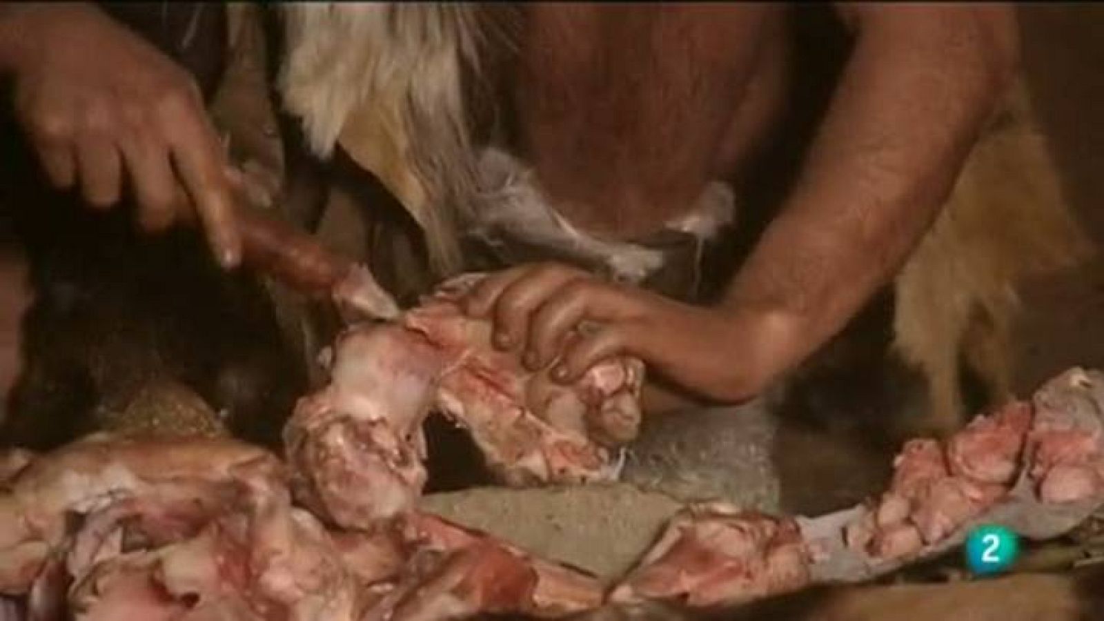 Para todos La 2 - Entrevista: Carlos Pérez - La Paleodieta