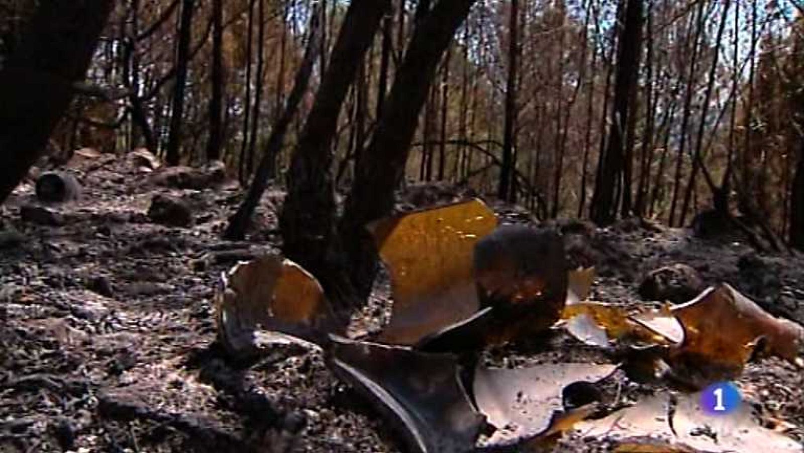La Comunidad Valenciana en 2' - 14/06/12 - Ver ahora