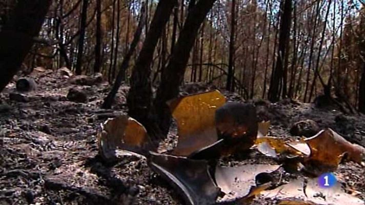 L'informatiu - Comunitat Valenciana - La Comunidad Valenciana en 2' -  14/06/12