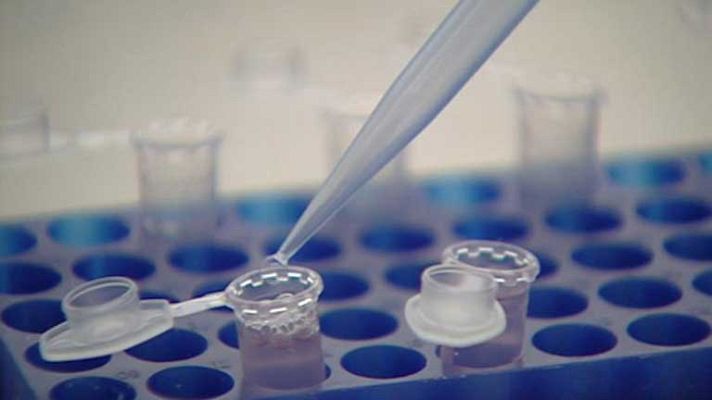 Telediario 1 - Células madre revividas