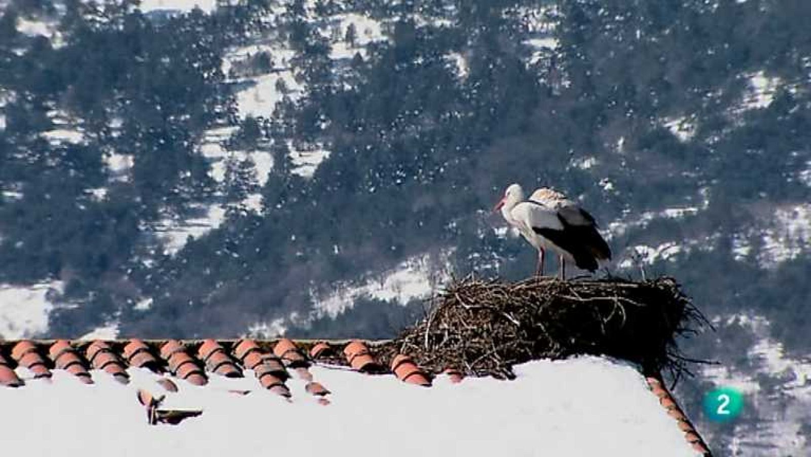 Biodiario - 17/06/12 - ver ahora