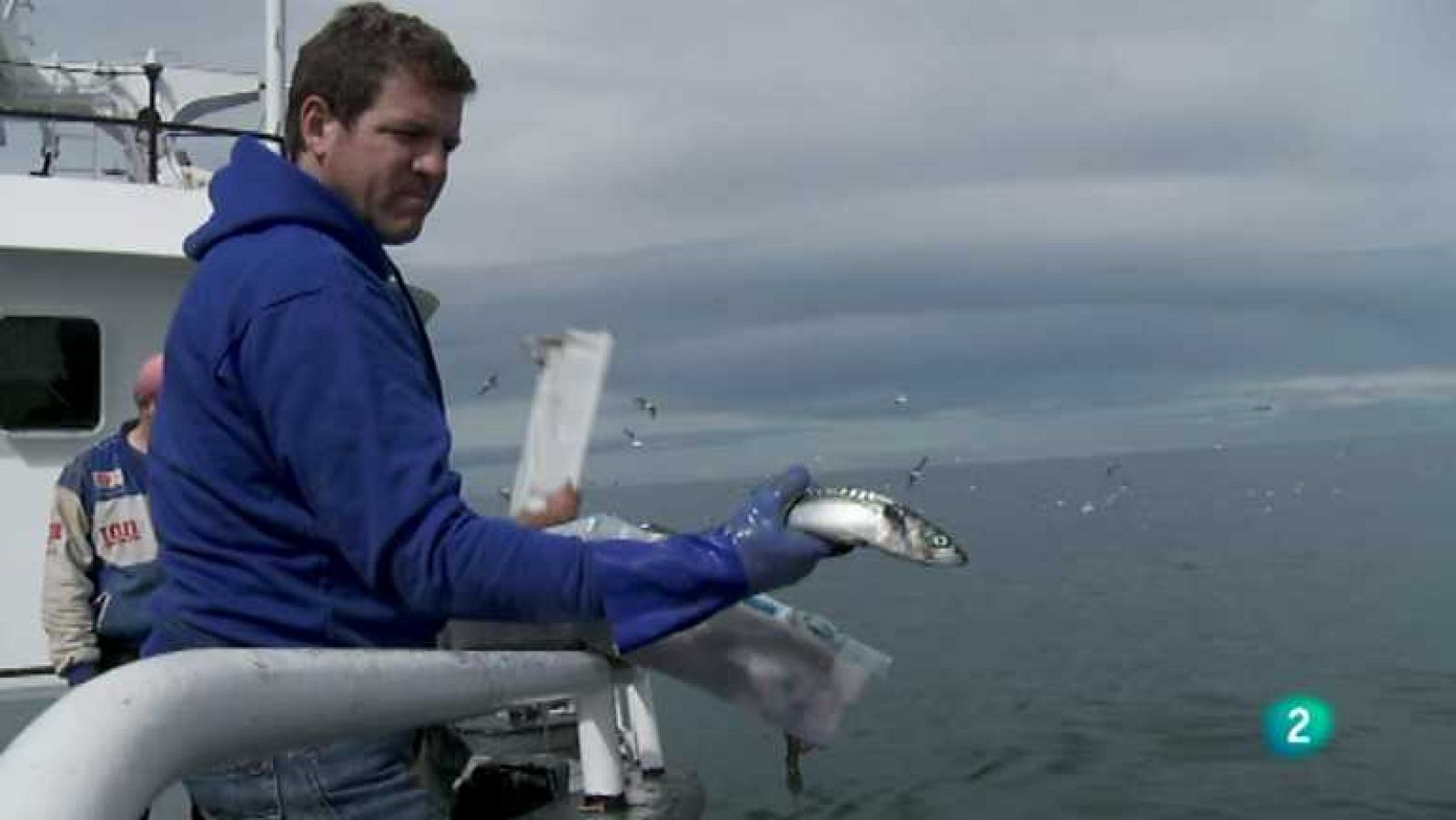 Biodiario - 18/06/12 - ver ahora