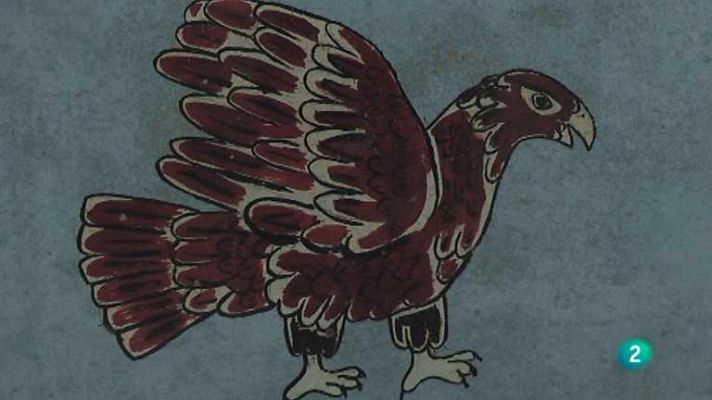 Biodiario - Biodiario - 19/06/12