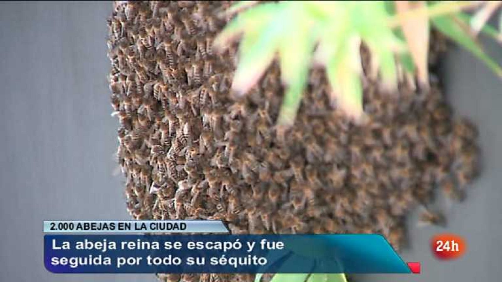 España en 24 horas - 20/06/12 - Ver ahora