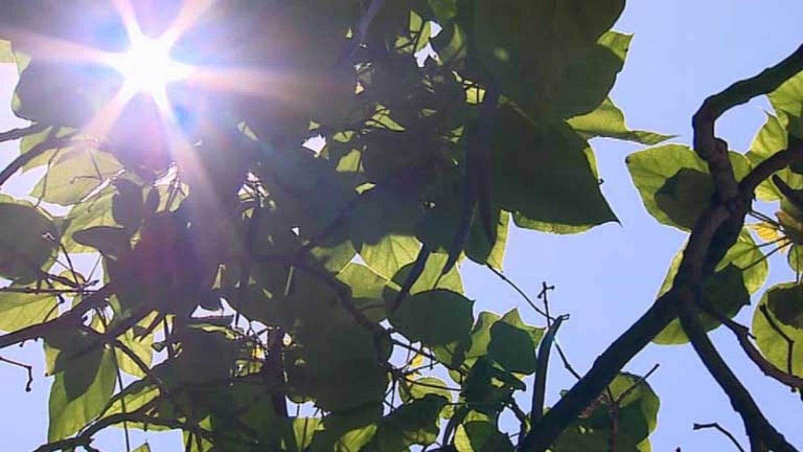 Nubes en Galicia y en el Cantábrico, y despejado en el resto