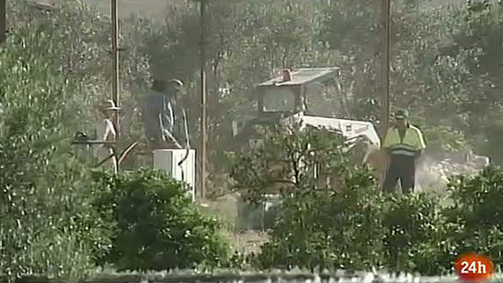 Reanudan la búsqueda de los niños de Córdoba en la finca de los abuelos con un georradar - Informativo 24h | Ver