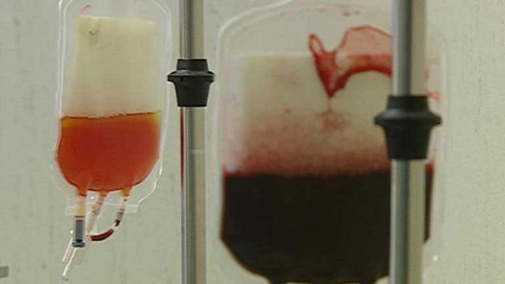 Telediario 1 - ¿El colesterol o las células madre?