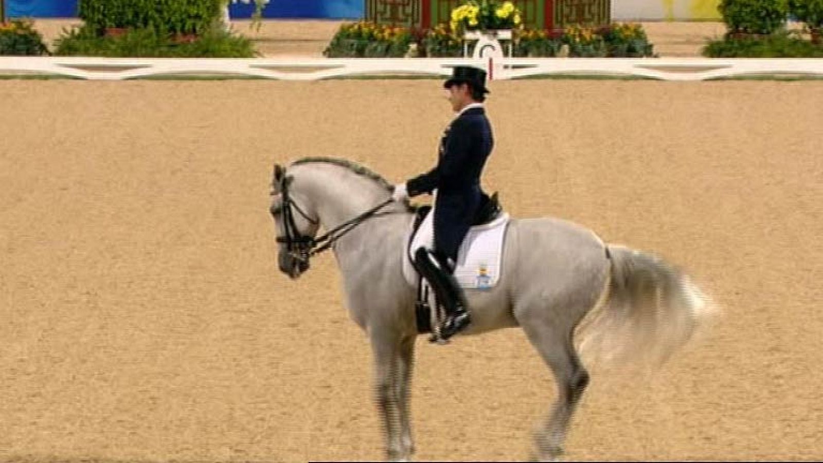 La doma clásica ya tiene a los jinetes que participarán en los JJOO | Ver