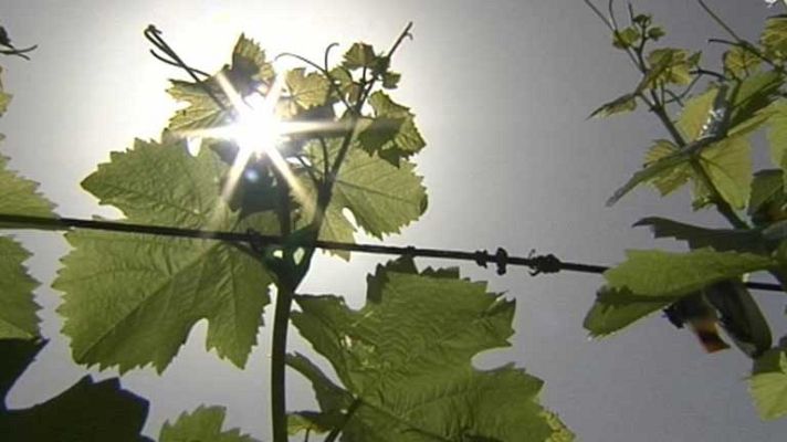 El tiempo - Temperaturas de record