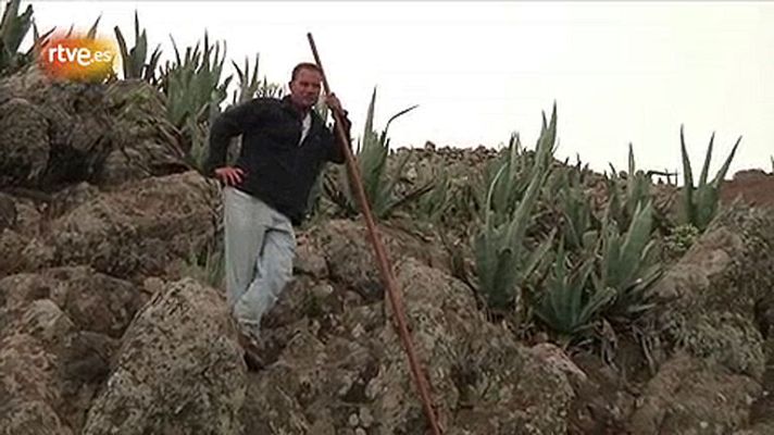 Conectando España - Buenavista del Norte - Salto