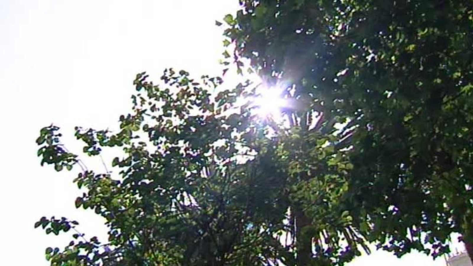 Temperaturas altas en la parte oriental y en descenso en la occidental