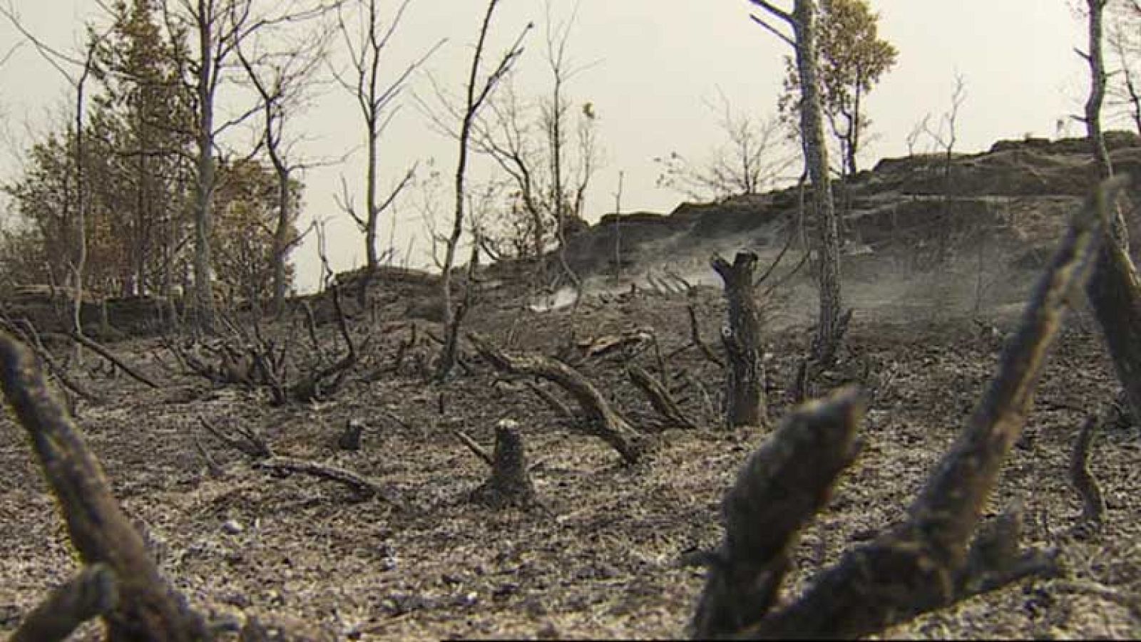 Los bomberos controlan el incendio forestal en Prats de Rei