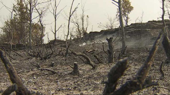 Telediario 1 - Incendio controlado en Prats de Rei