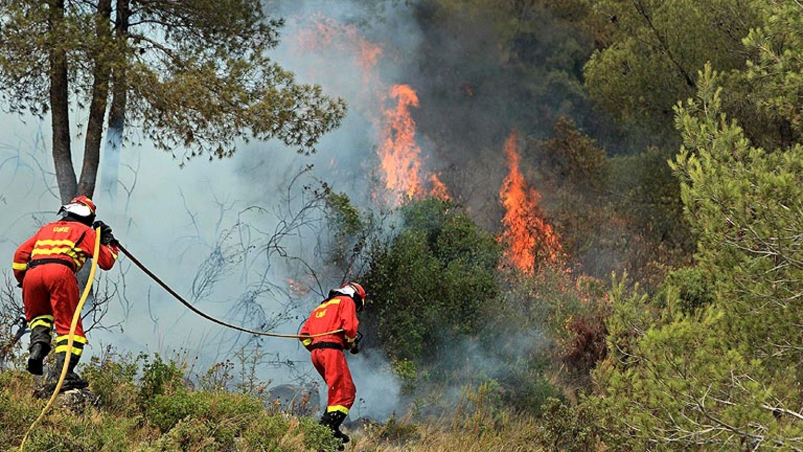 Los dos incendios de Valencia siguen sin control y con la climatología adversa - Informativo 24h | Ver