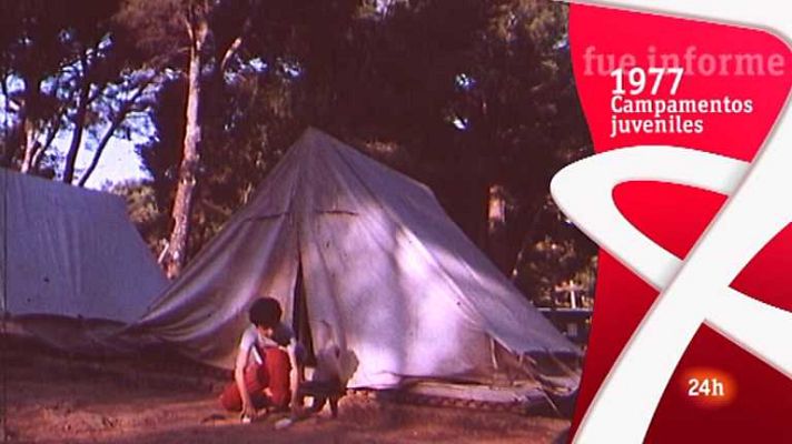 Informe Semanal - Campamentos juveniles