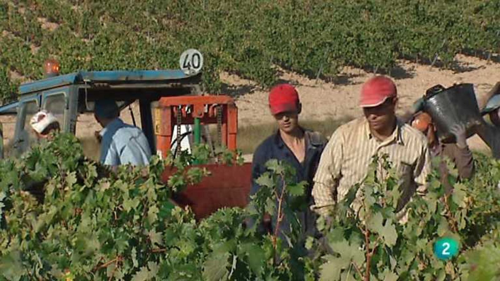 Babel en TVE - 01/07/12 - escuchar ahora