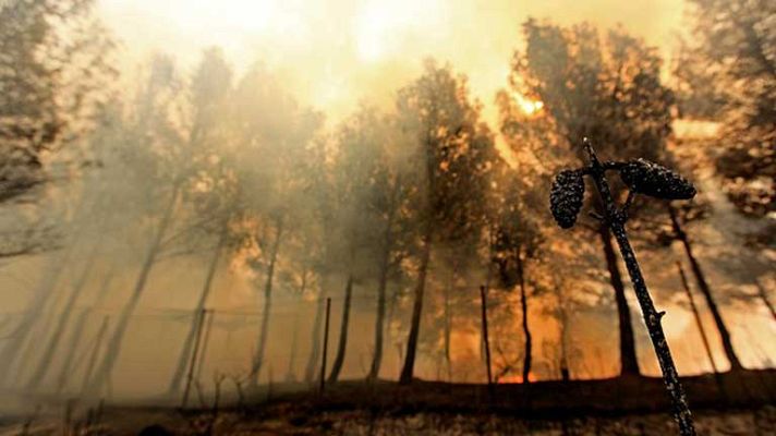 Telediario 1 - Telediario 1 en 4' - 01/07/12