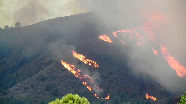 Informativo 24h - Incendio entre Murcia y Albacete