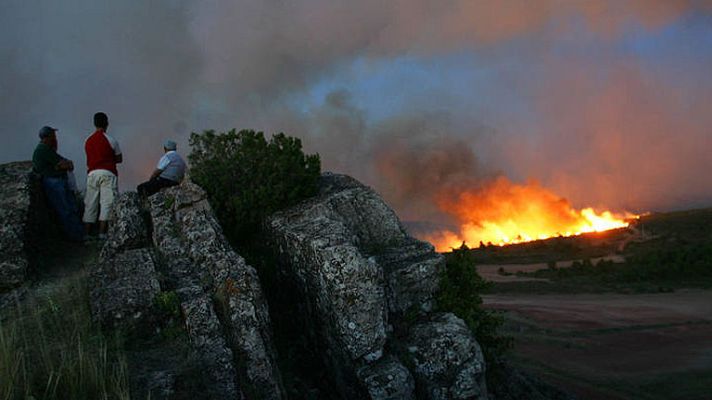 Telediario 1 - Incendio en Guadalajara