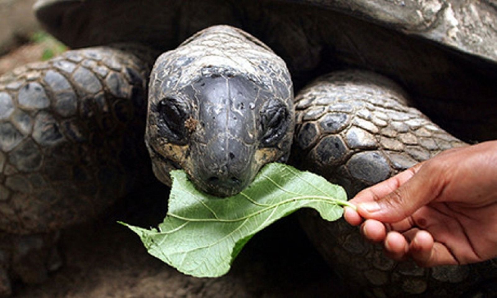 On Off: Un gran atractivo turístico - On Off | Ver