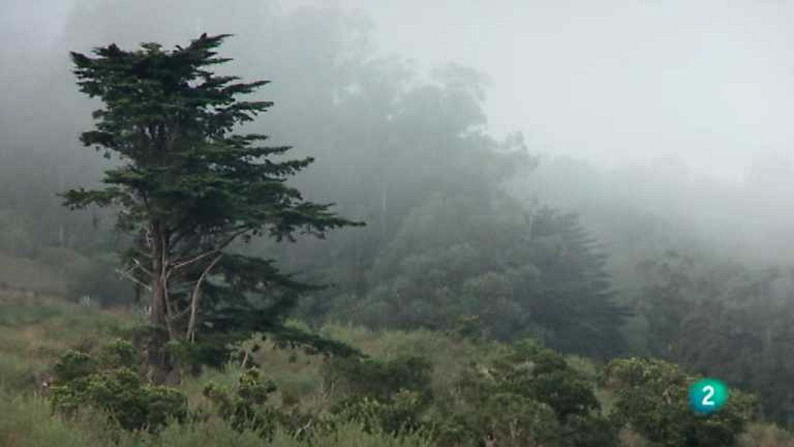 Biodiario - 02/07/12 - Ver ahora