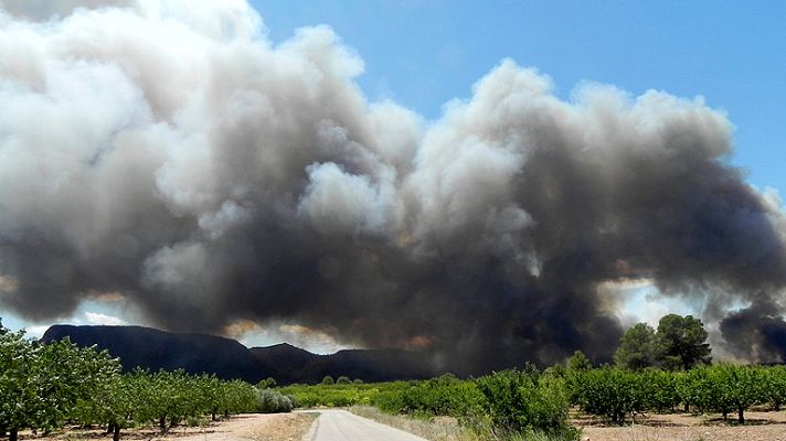 Informativo 24h - Incendio de Hellín estabilizado