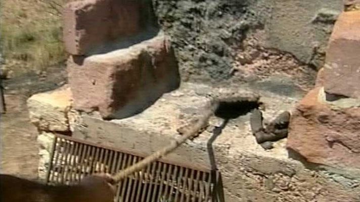 Telediario 1 - Juicio del incendio de Guadalajara