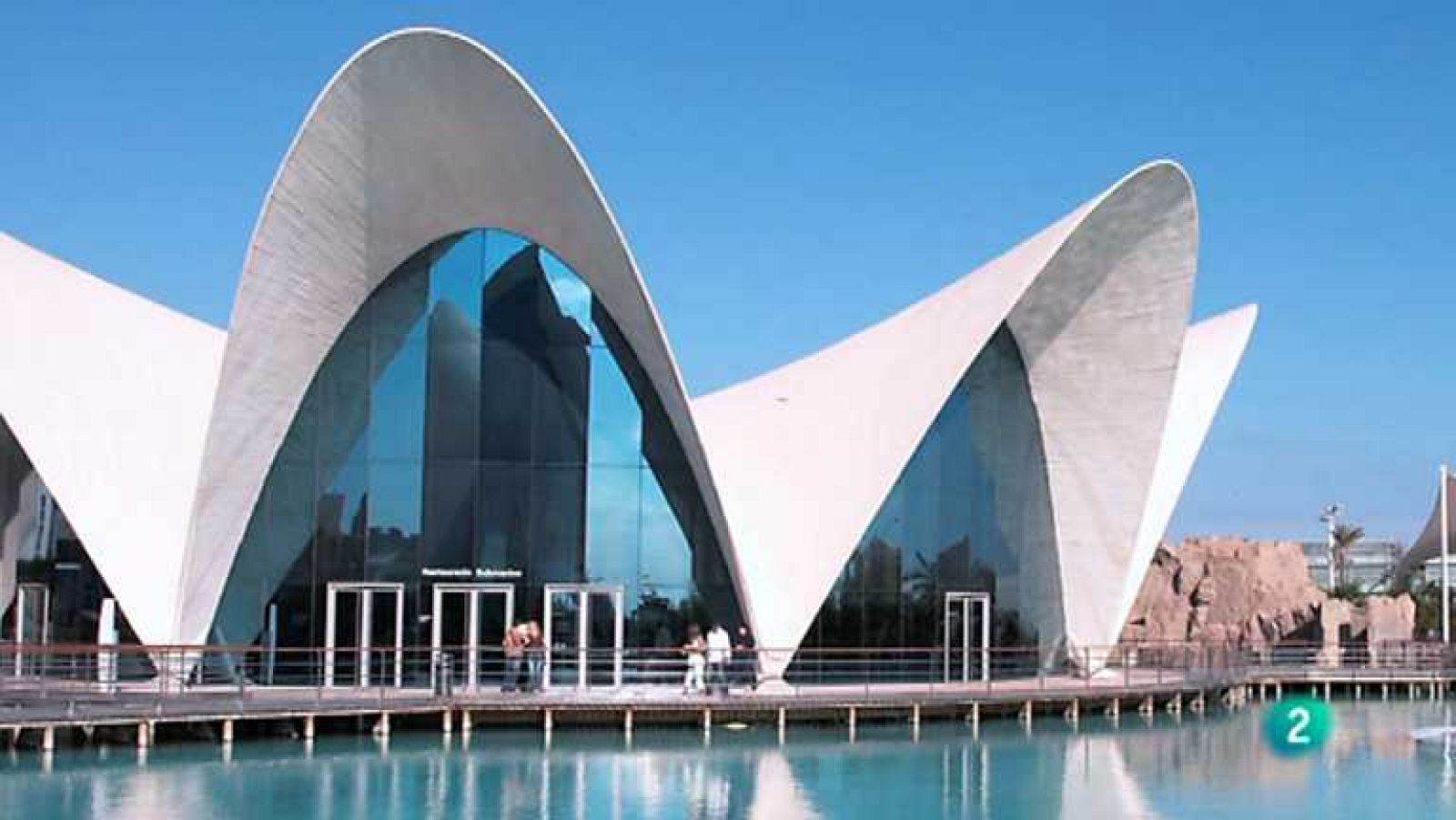 El oficio de la construcción - ver ahora