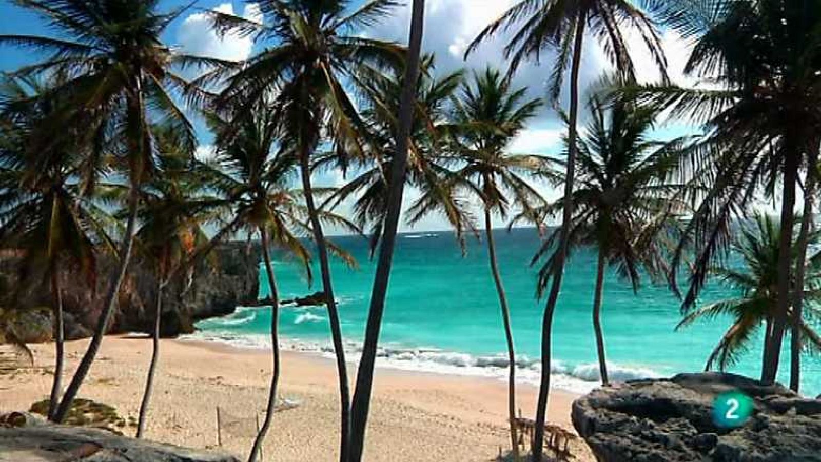 Grandes documentales - Al estilo Barbados - ver ahora