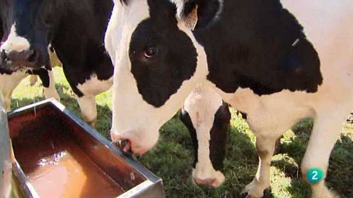 Agrosfera - Agrosfera - 07/07/12