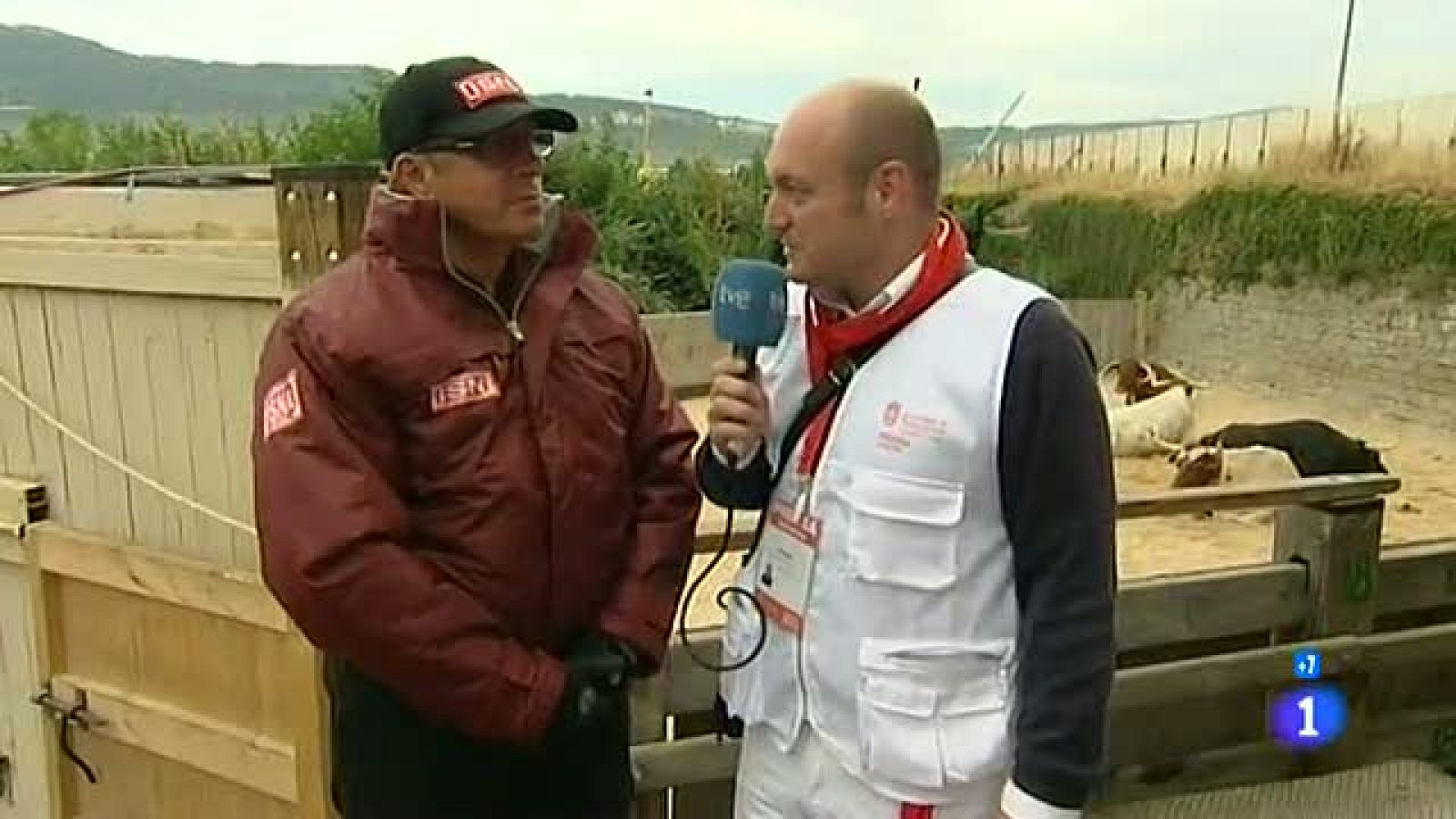 Los Cebado Gago, antes del encierro | Ver