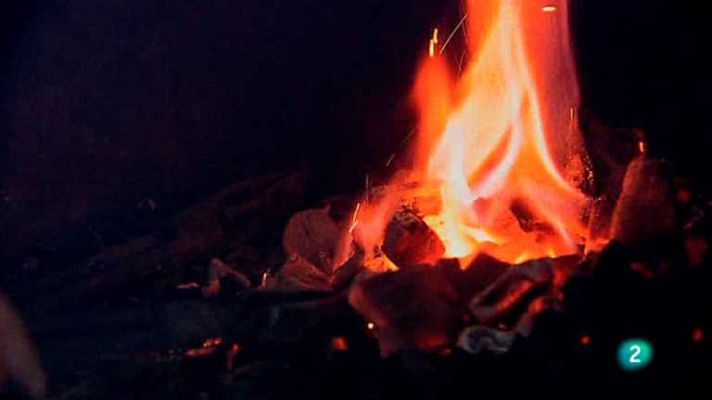 Biodiario - Biodiario - 09/07/12