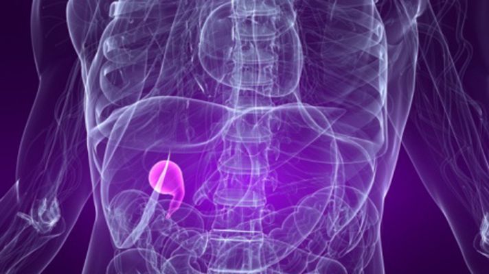 La mañana - Problemas de vesícula