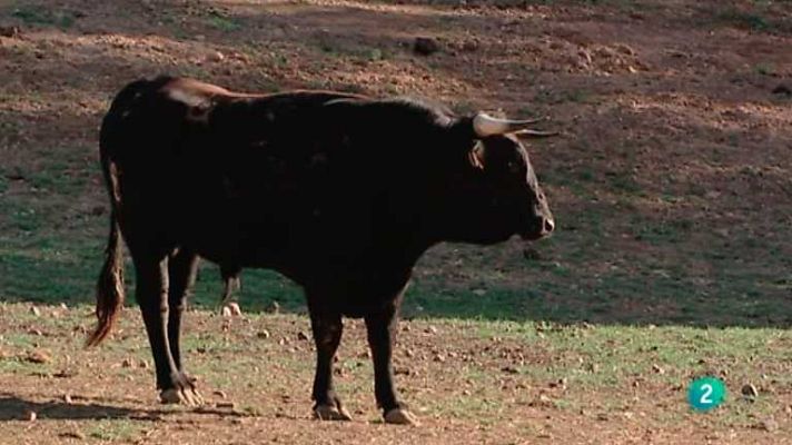 Biodiario - Biodiario - 10/07/12