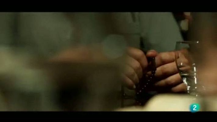 Miradas 2 - Elefante blanco