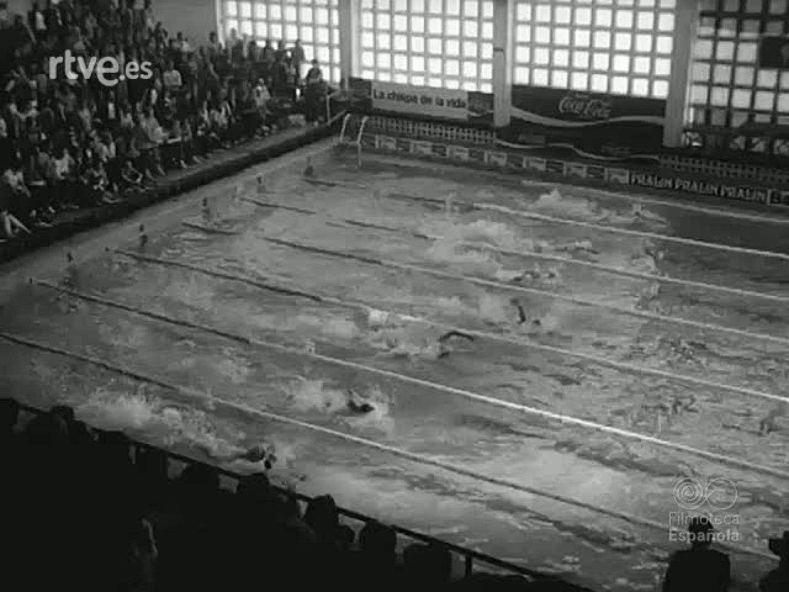 NOT N 1681 B - NO-DO | Ver