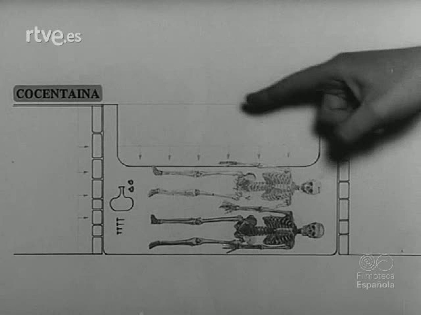 NOT N 1653 A - NO-DO | Ver