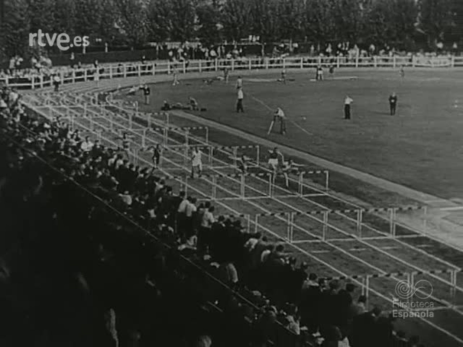 NOT N 43 B - NO-DO | Ver