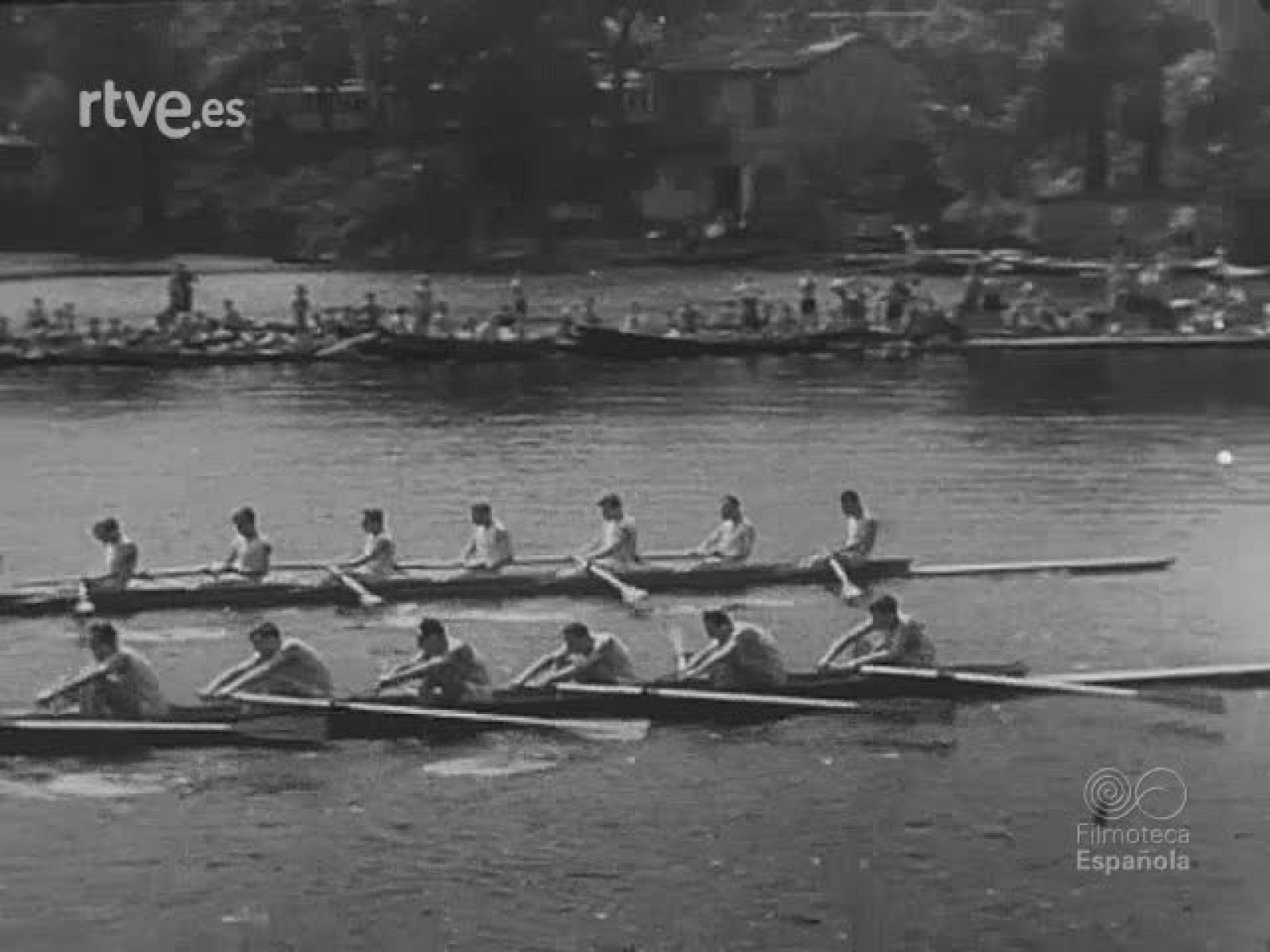 NOT N 36 A - NO-DO | Ver