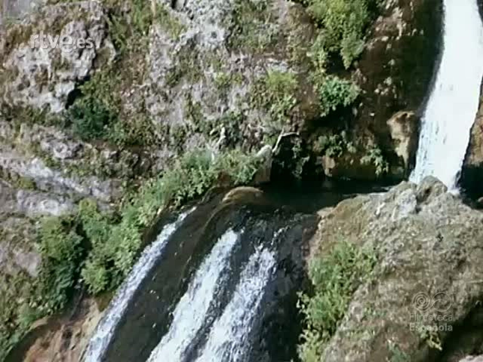 NOT N 1957 A - NO-DO | Ver