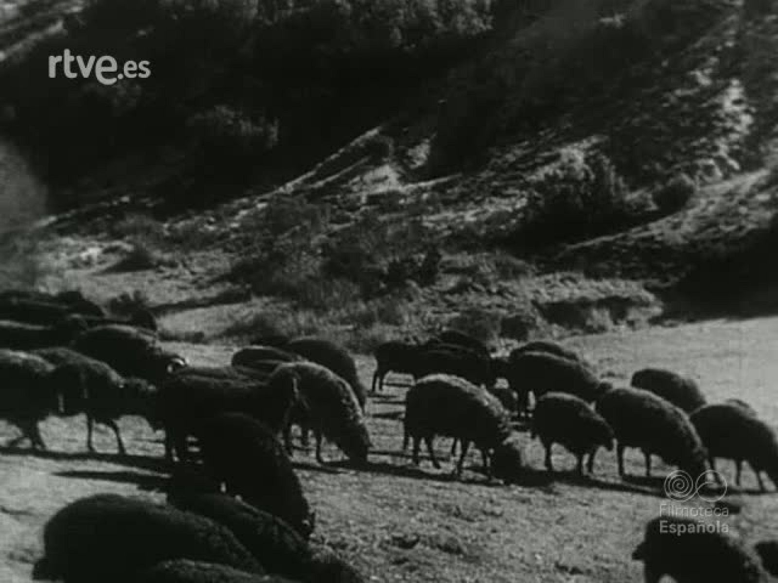 NOT N 96 B - NO-DO | Ver