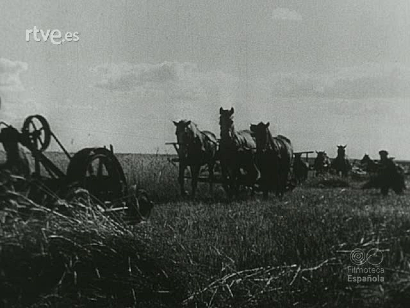 NOT N 40 A - NO-DO | Ver