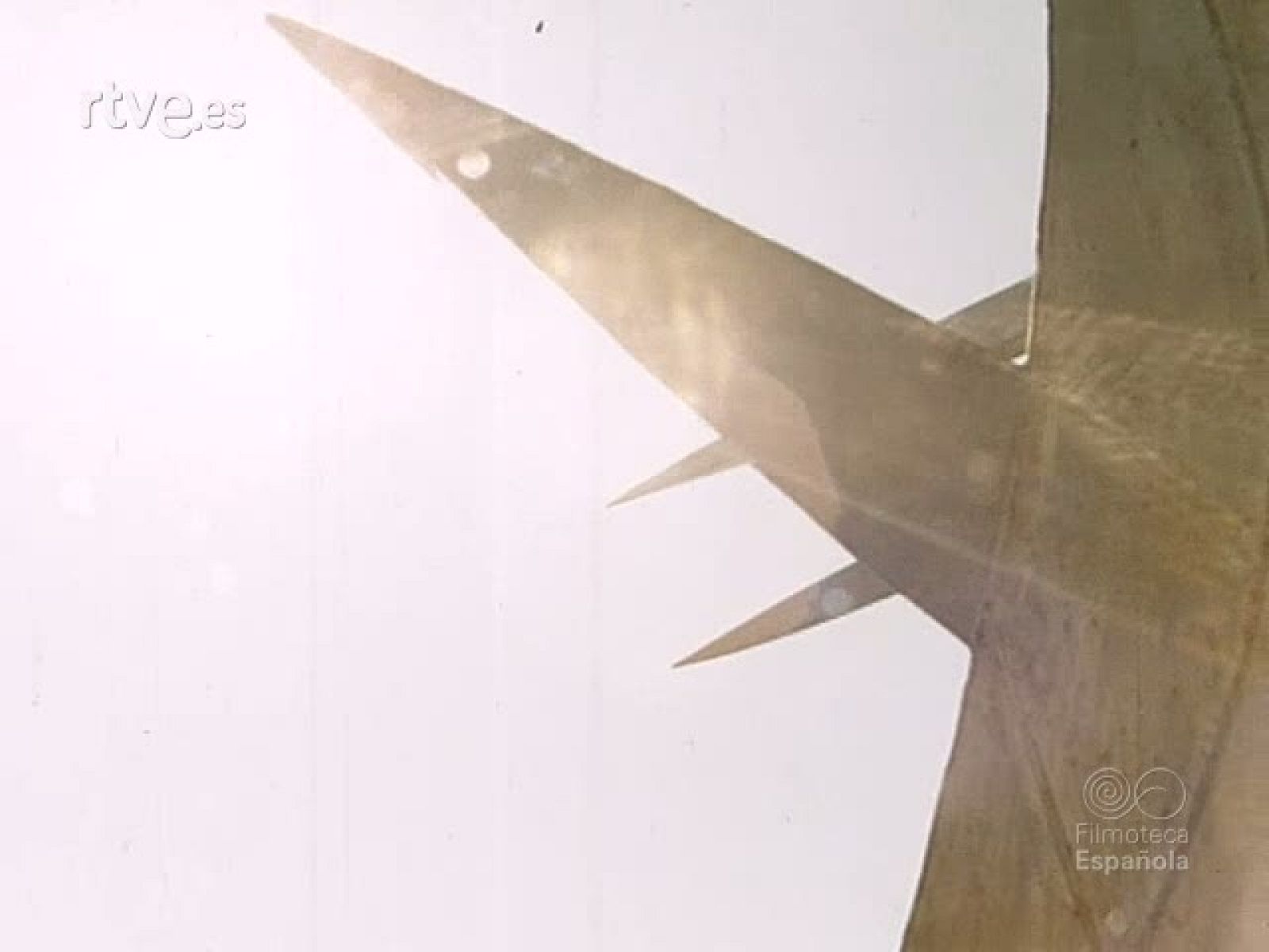 NOT N 1948 B - NO-DO | Ver