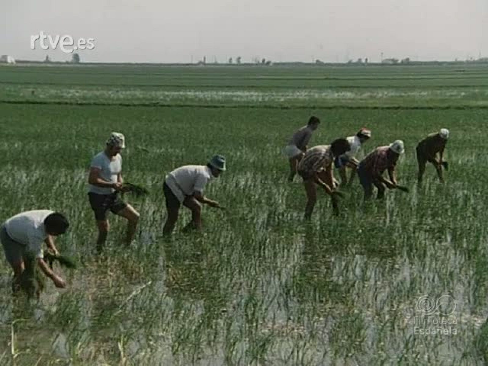 NOT N 1952 B - NO-DO | Ver