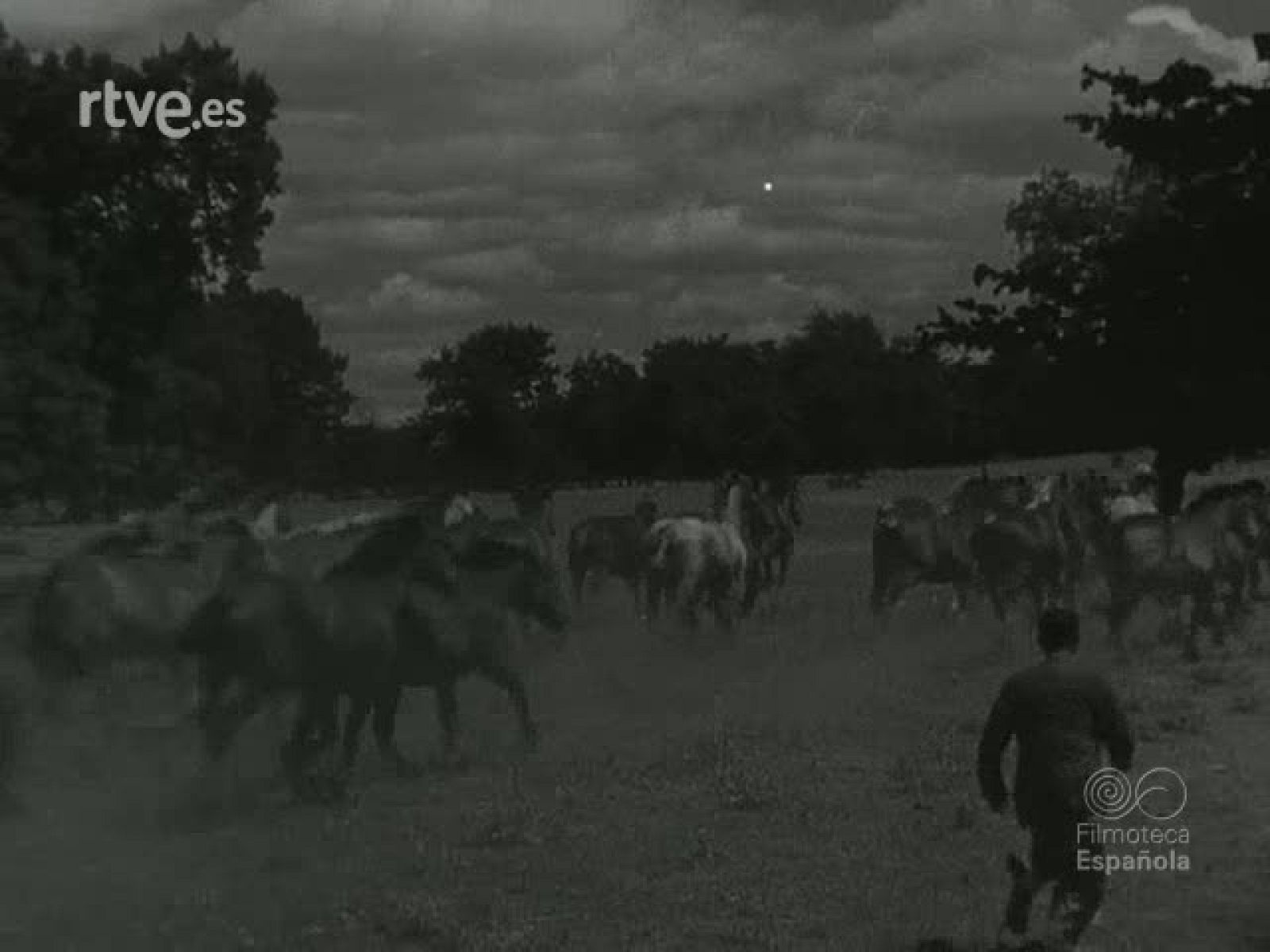 NOT N 344 B - NO-DO | Ver